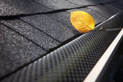 Get Professional Gutter Guard Repair To Reduce Maintenance!