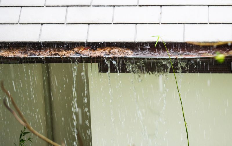 Clogged Gutter System