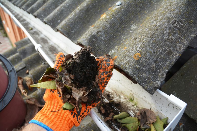 Cleaning Debris from Gutter Guard